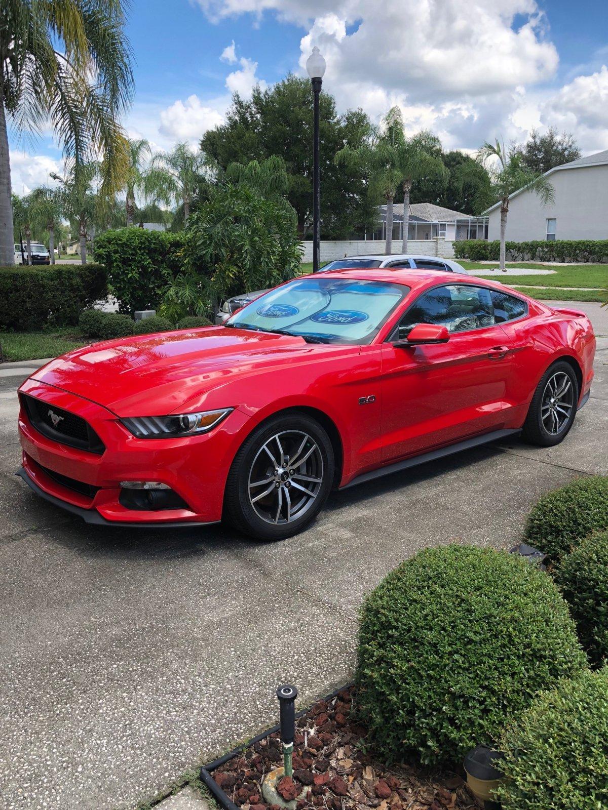 stang2.jpg