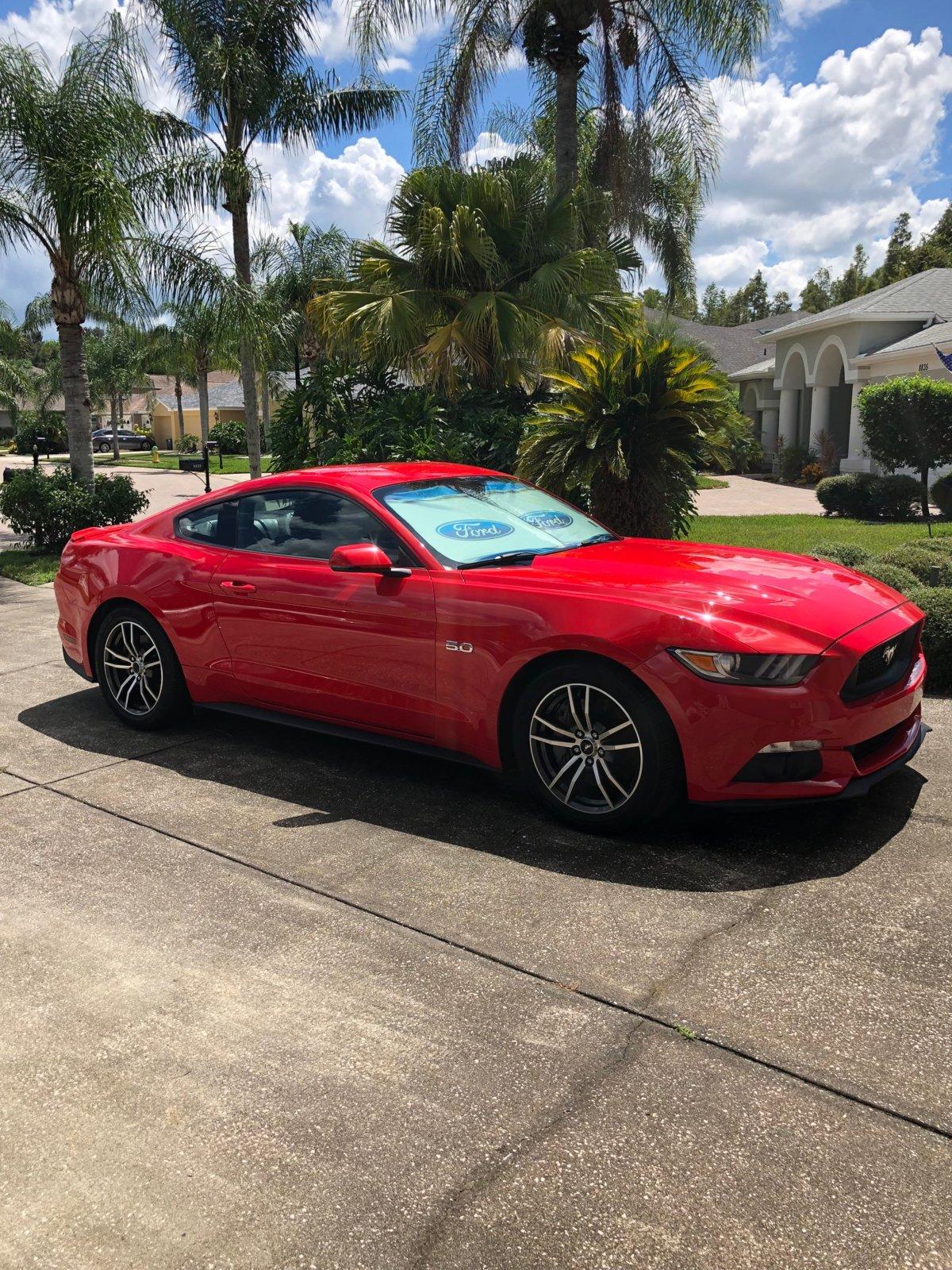 stang1.jpg