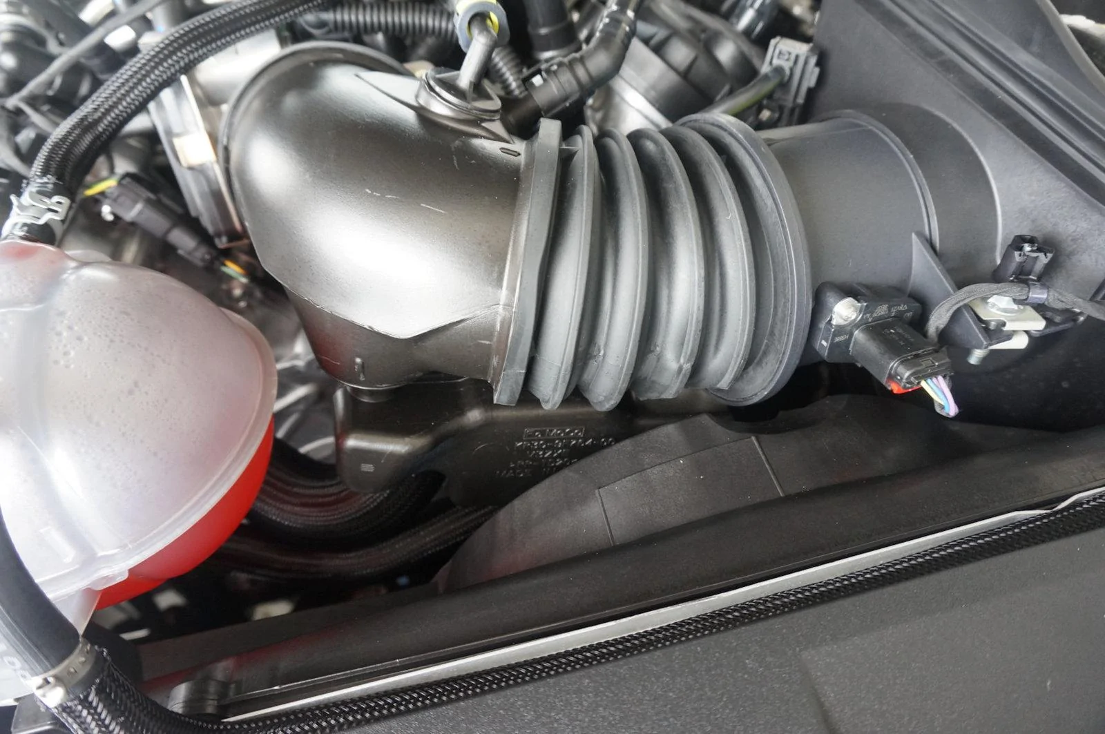 DSC02811_resize35.webp