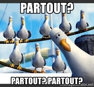 partout-partout-partout.webp