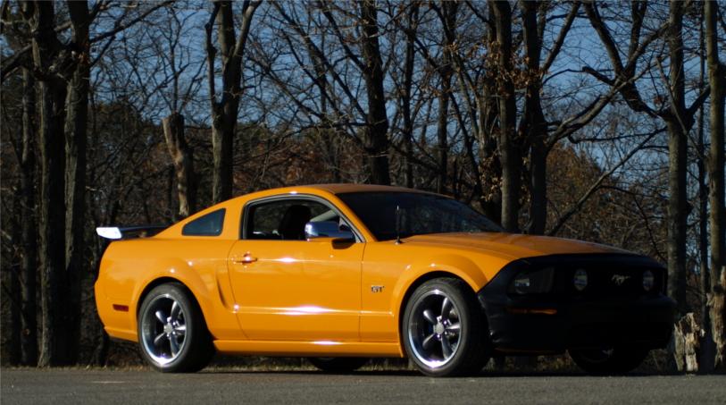 07GT_woods.JPG