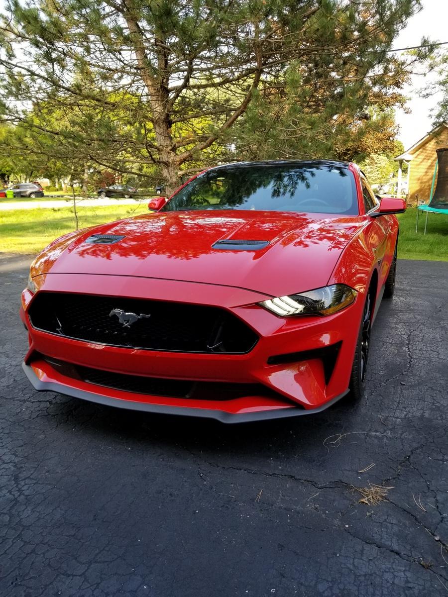 20180914_173031.jpg