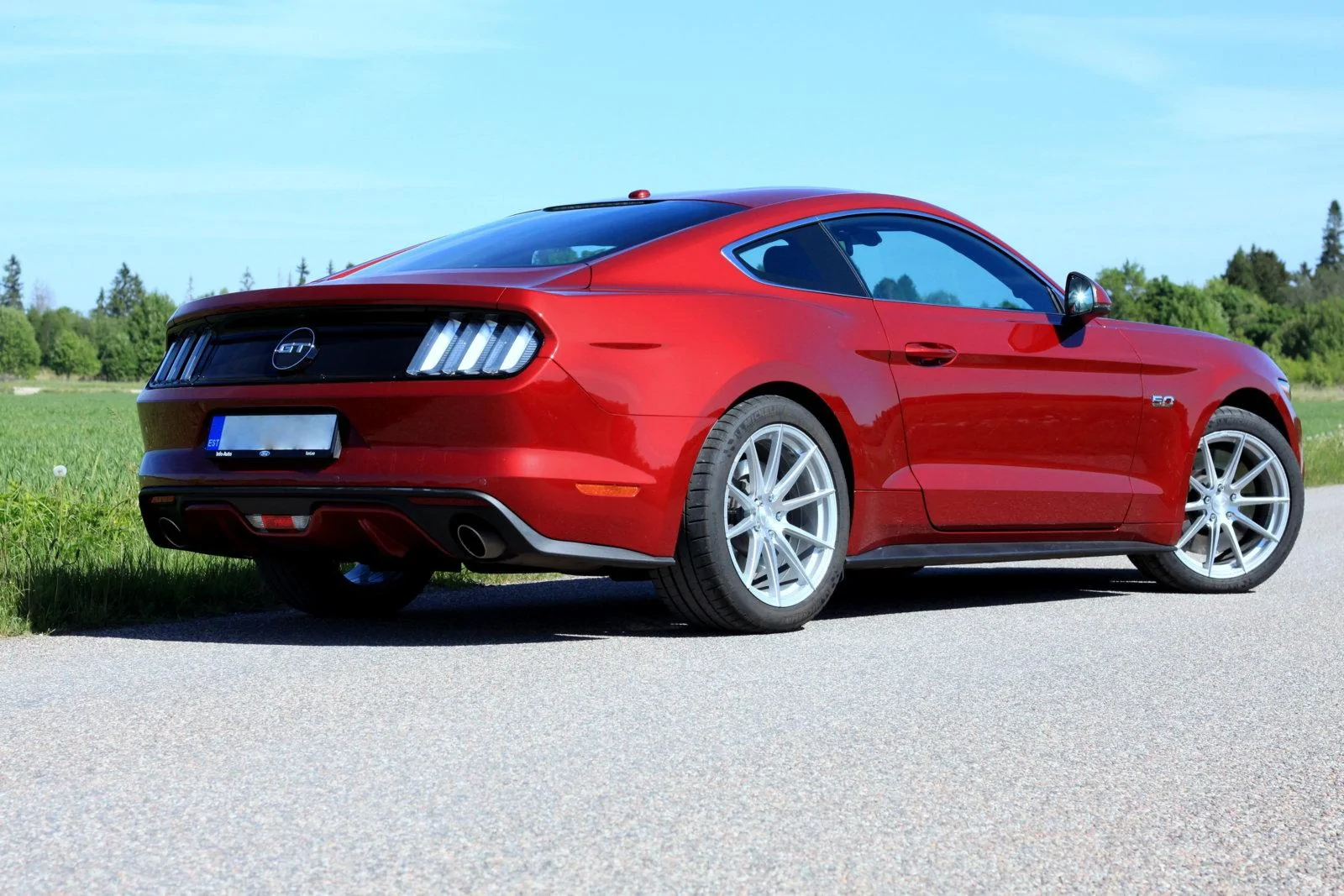 Stang03.webp
