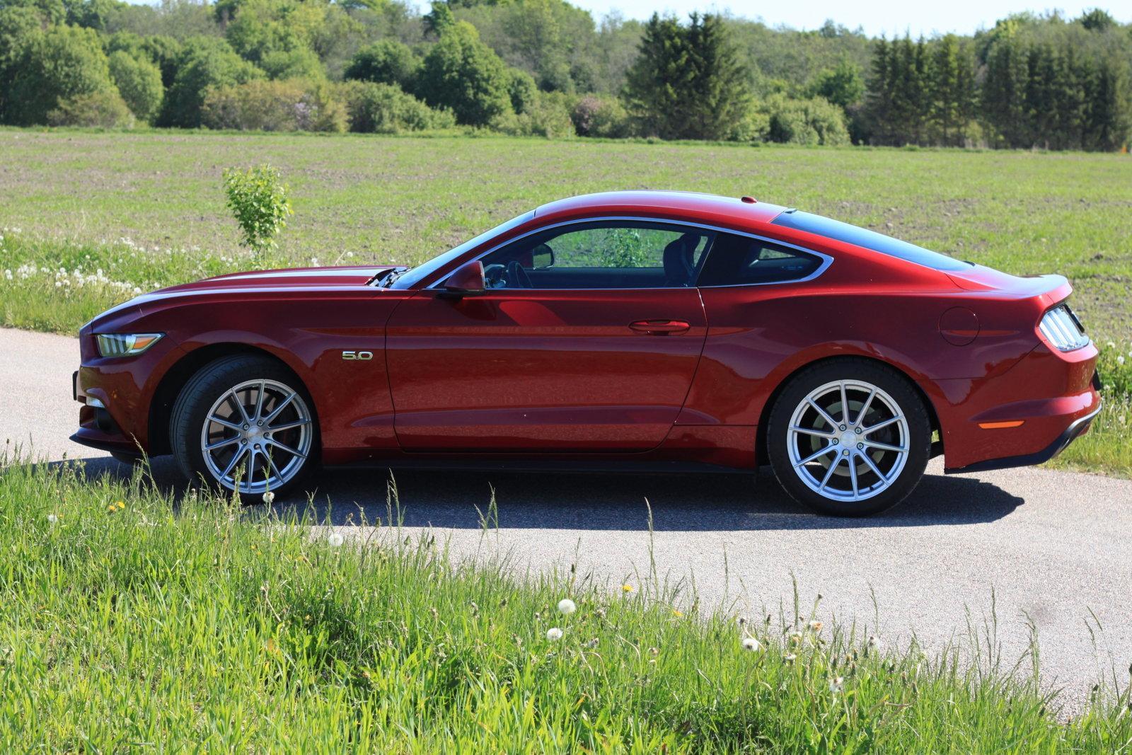 Stang04.jpg