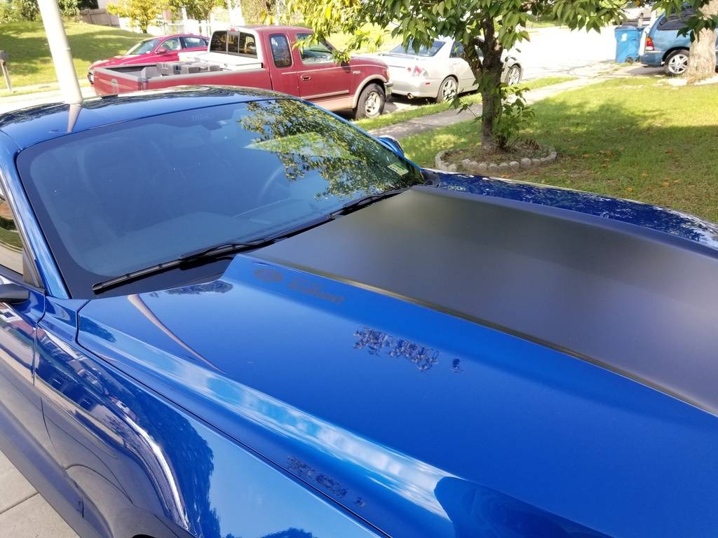 20180919_154936_resized_zpsytzxubh4.jpg