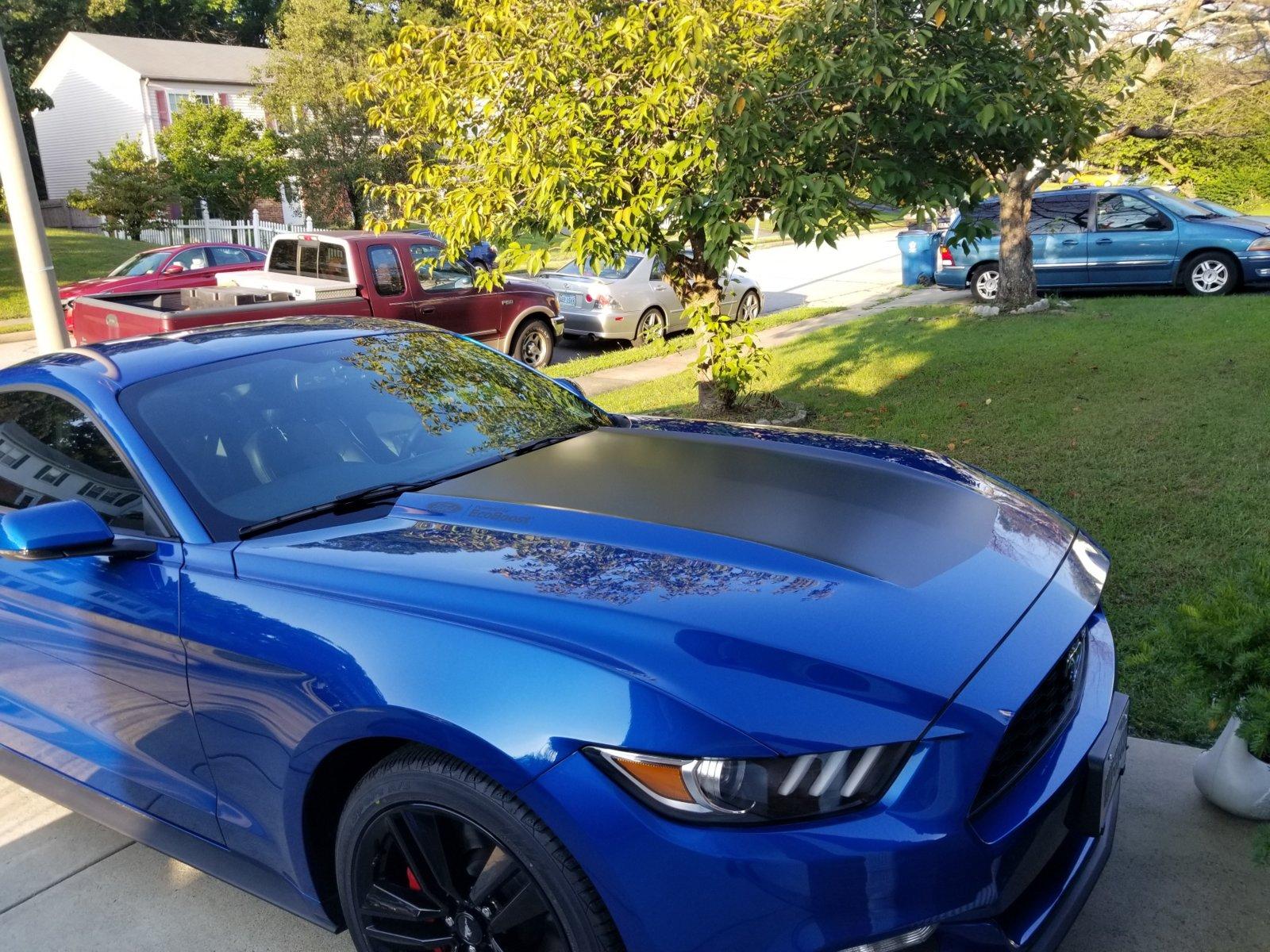 20180919_175751_resized.jpg