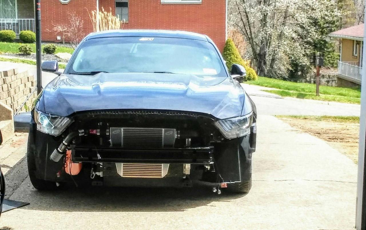 no bumper.jpg
