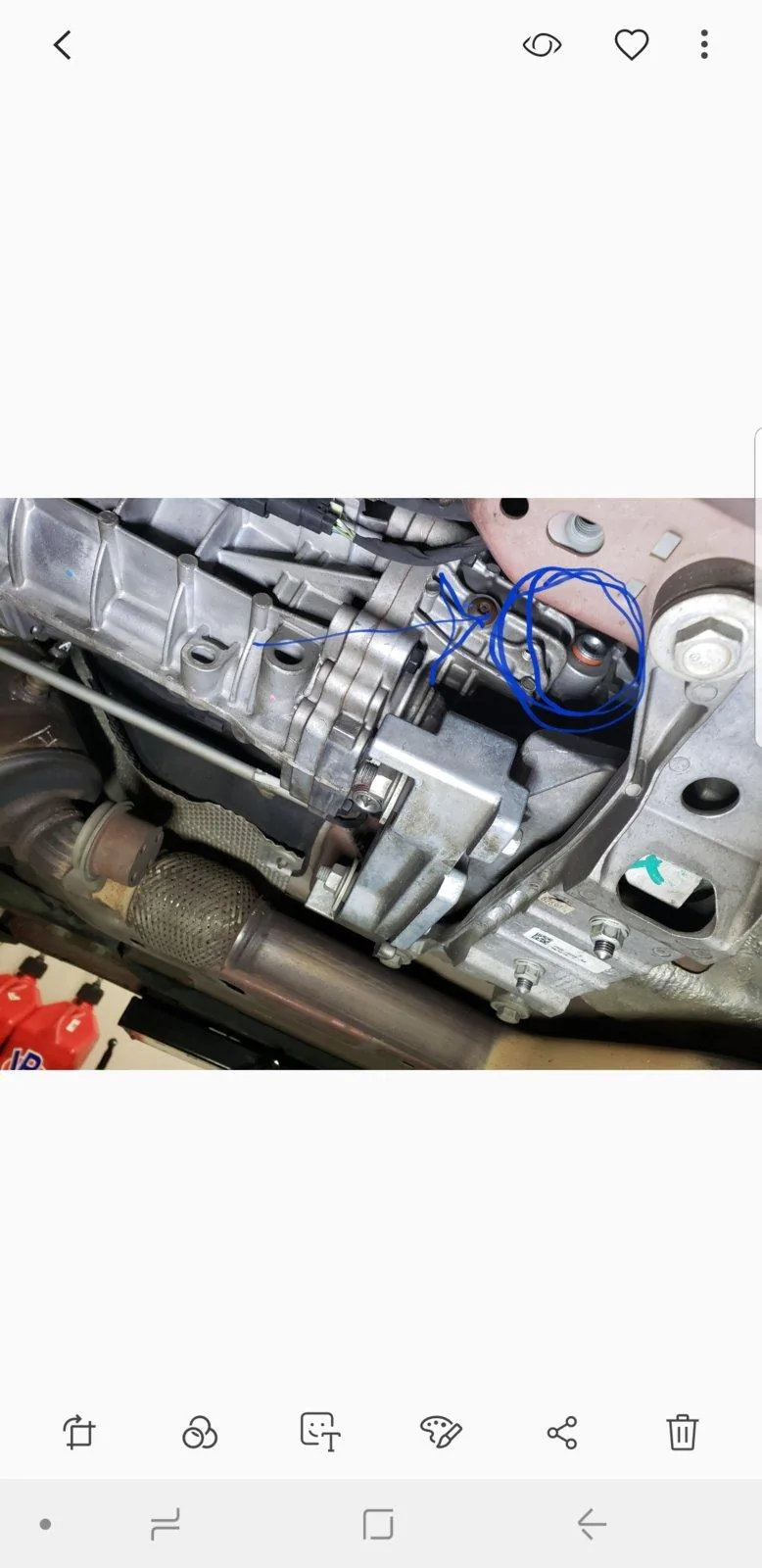 Screenshot_20180920-162901_Gallery.webp