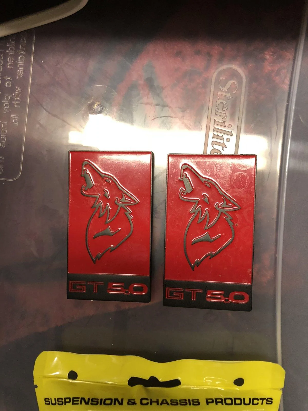 19EF0E70-227C-4A3D-A44E-F982C4E0CBE6.webp