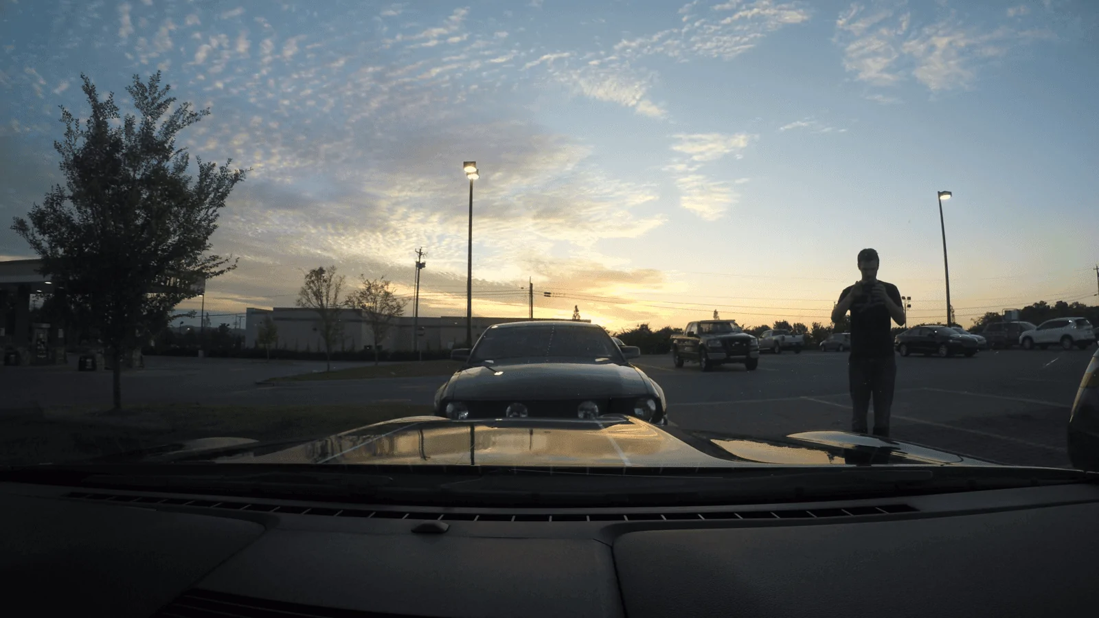 mustanglooker..webp