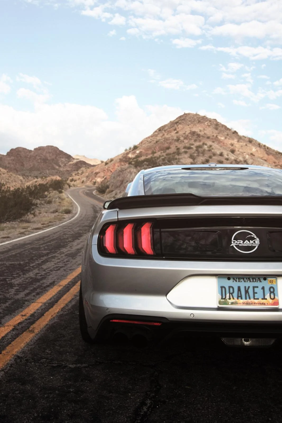 Mustang_Nelson7_small.webp