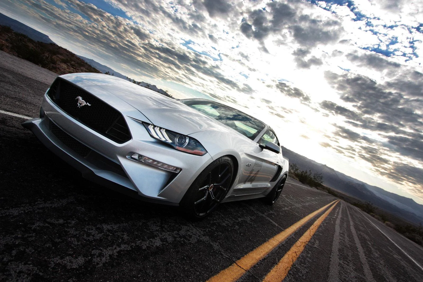 Mustang_Nelson8_small.webp