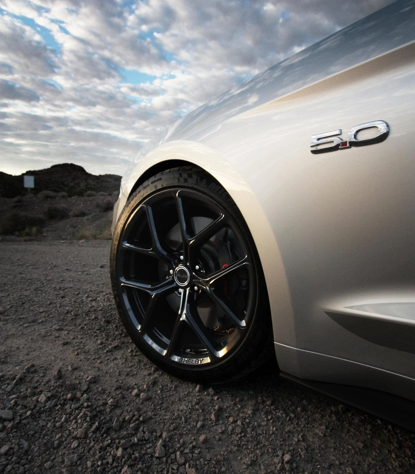 Mustang_Nelson2_cropped.webp