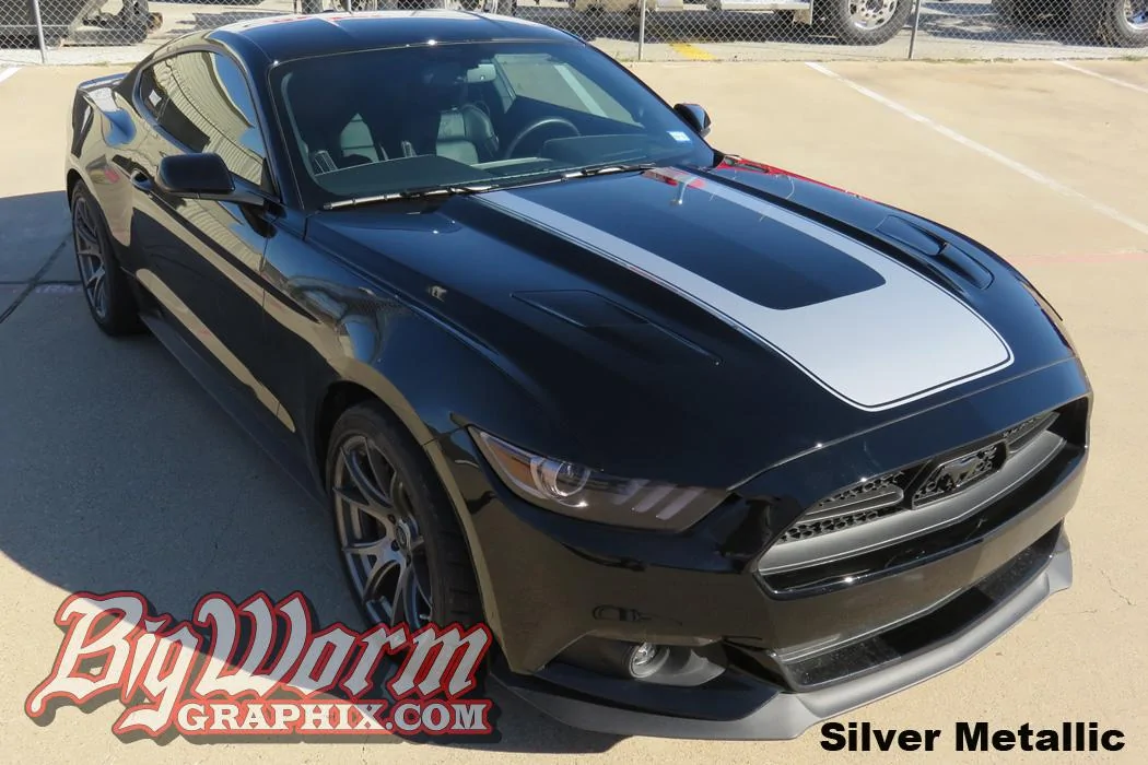 2015-gt-blk-light-gray-horshoe-lrg.webp