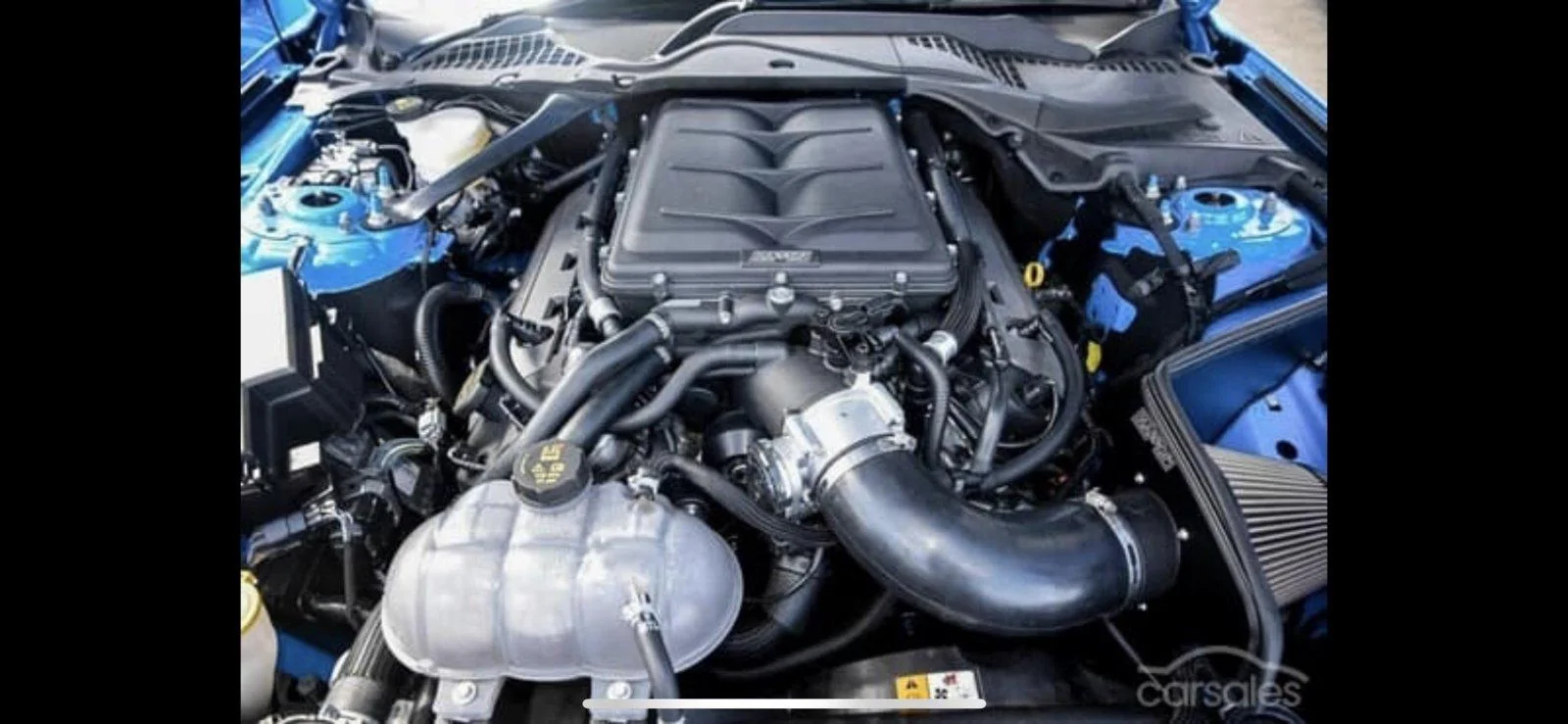 fullsizeoutput_a67.webp