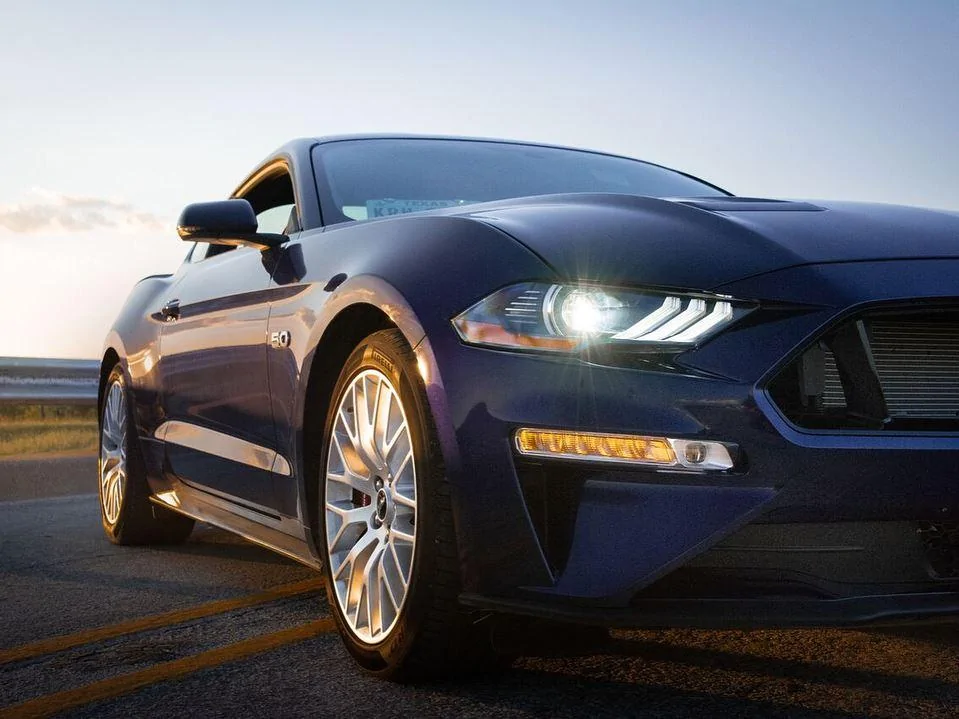 mustang3.webp