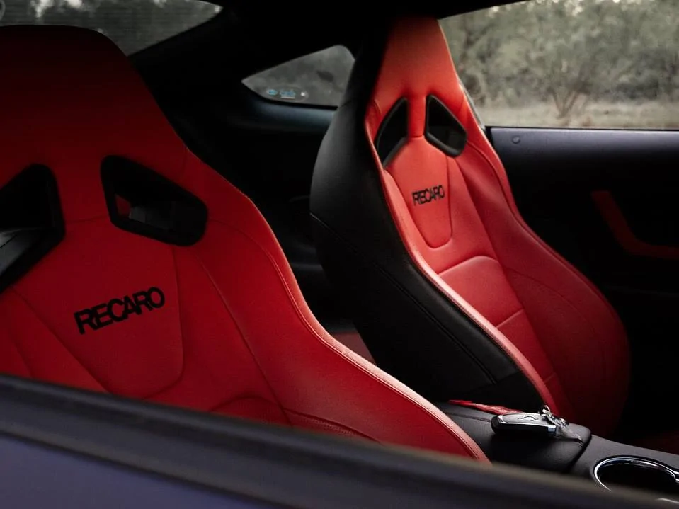 mustang7.webp