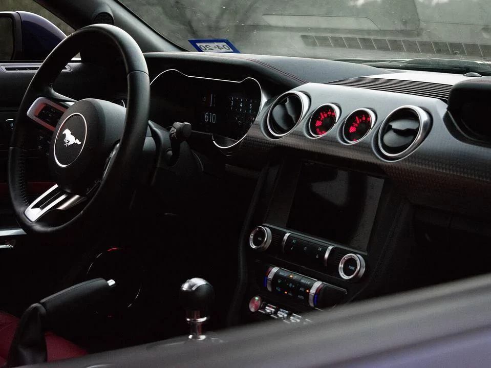 mustang8.webp