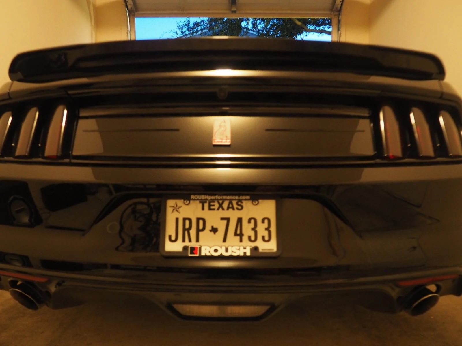 gt1.webp