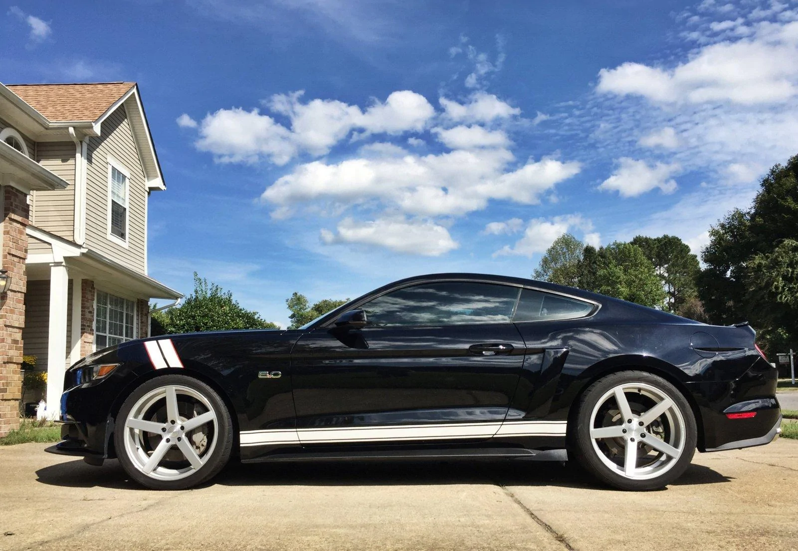 Mustang7.webp
