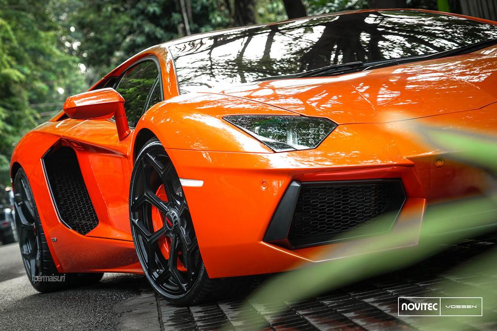 45130320732_399fb921f4_b.jpg