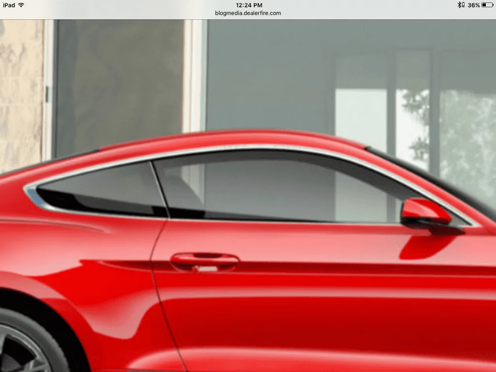 image.webp
