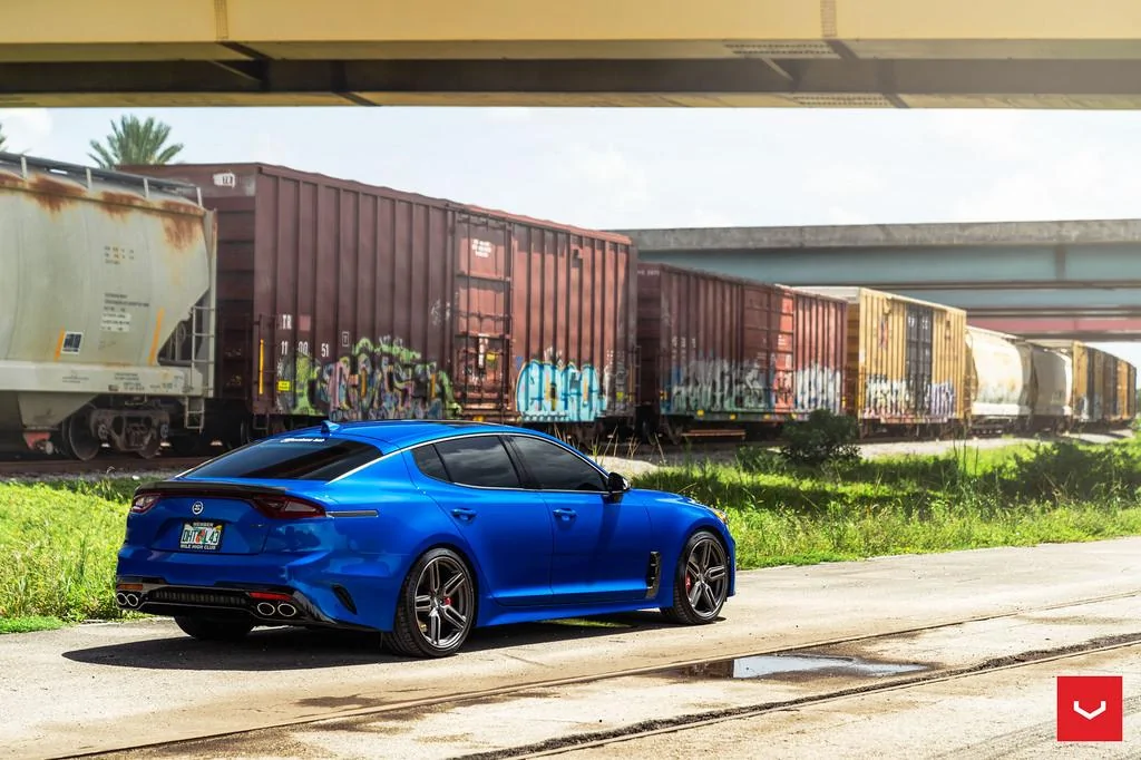 45204748481_c674595600_b.webp