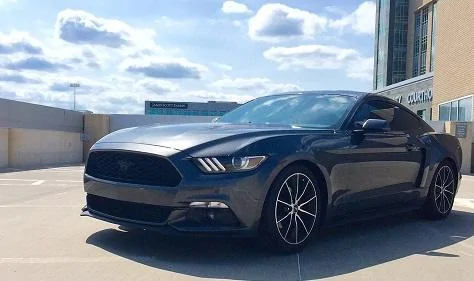 mustang2.webp