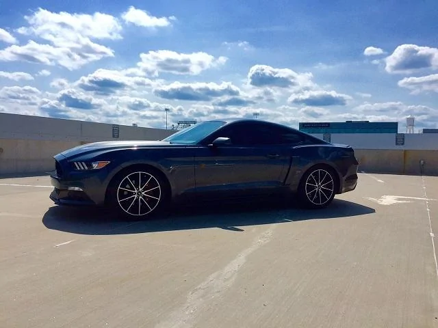 mustang3.webp