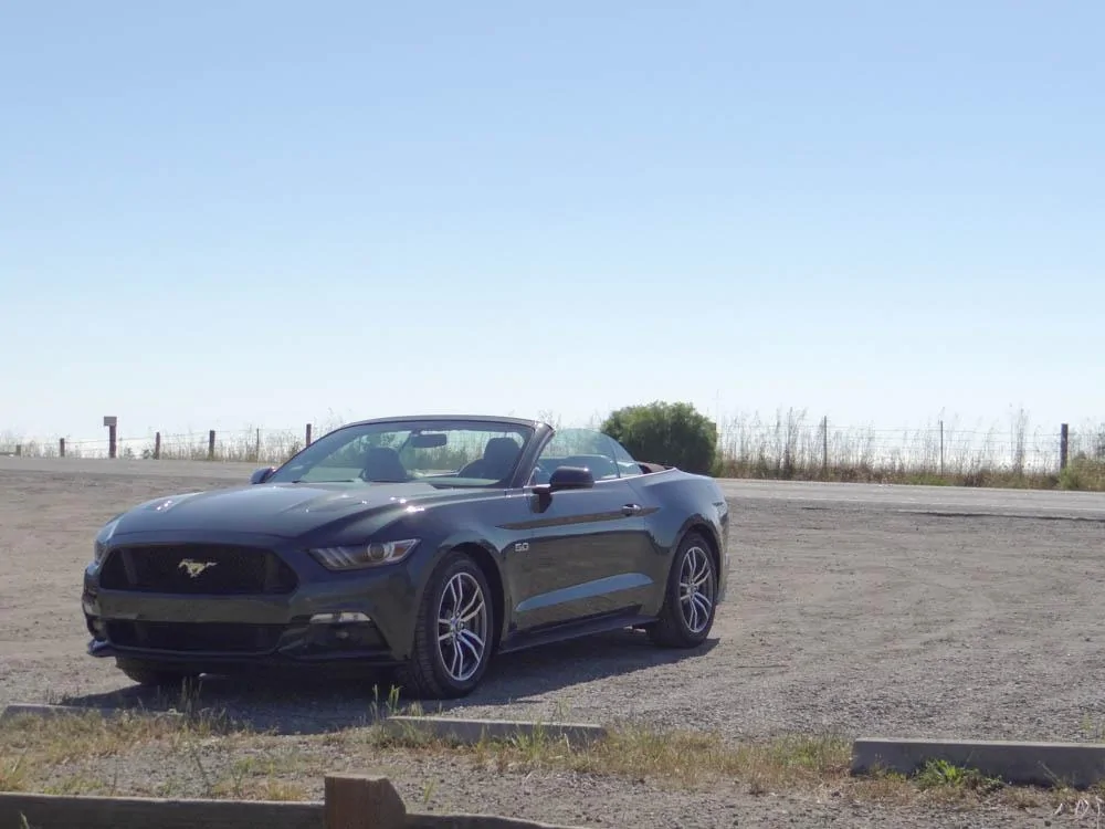 DSC04179.webp