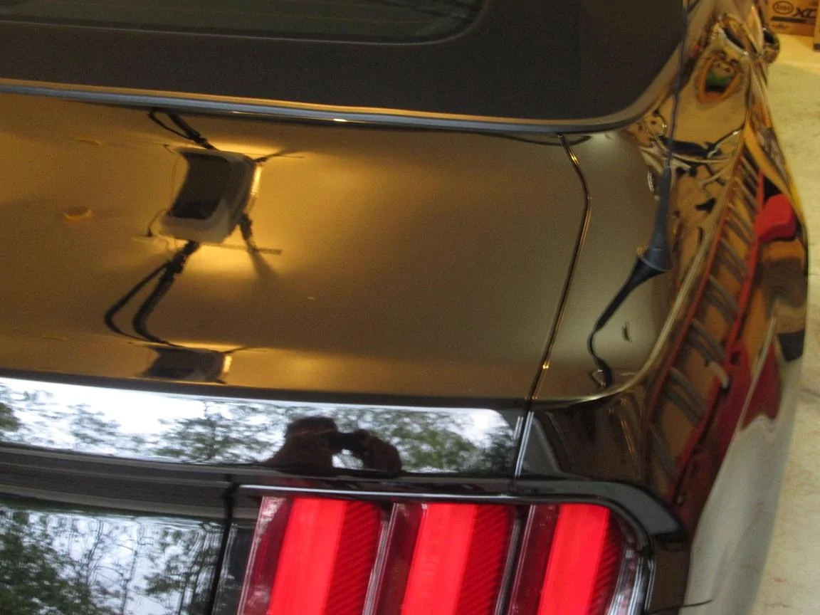 mustang body panels 007.webp
