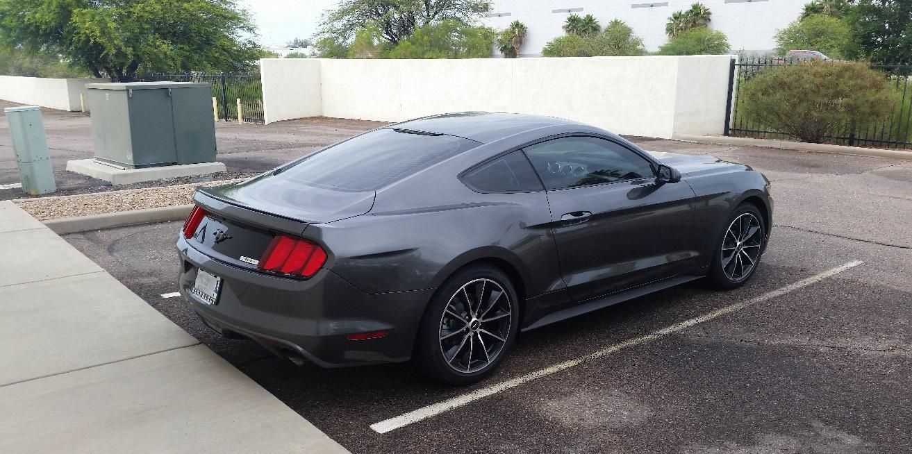 blackpony.jpg