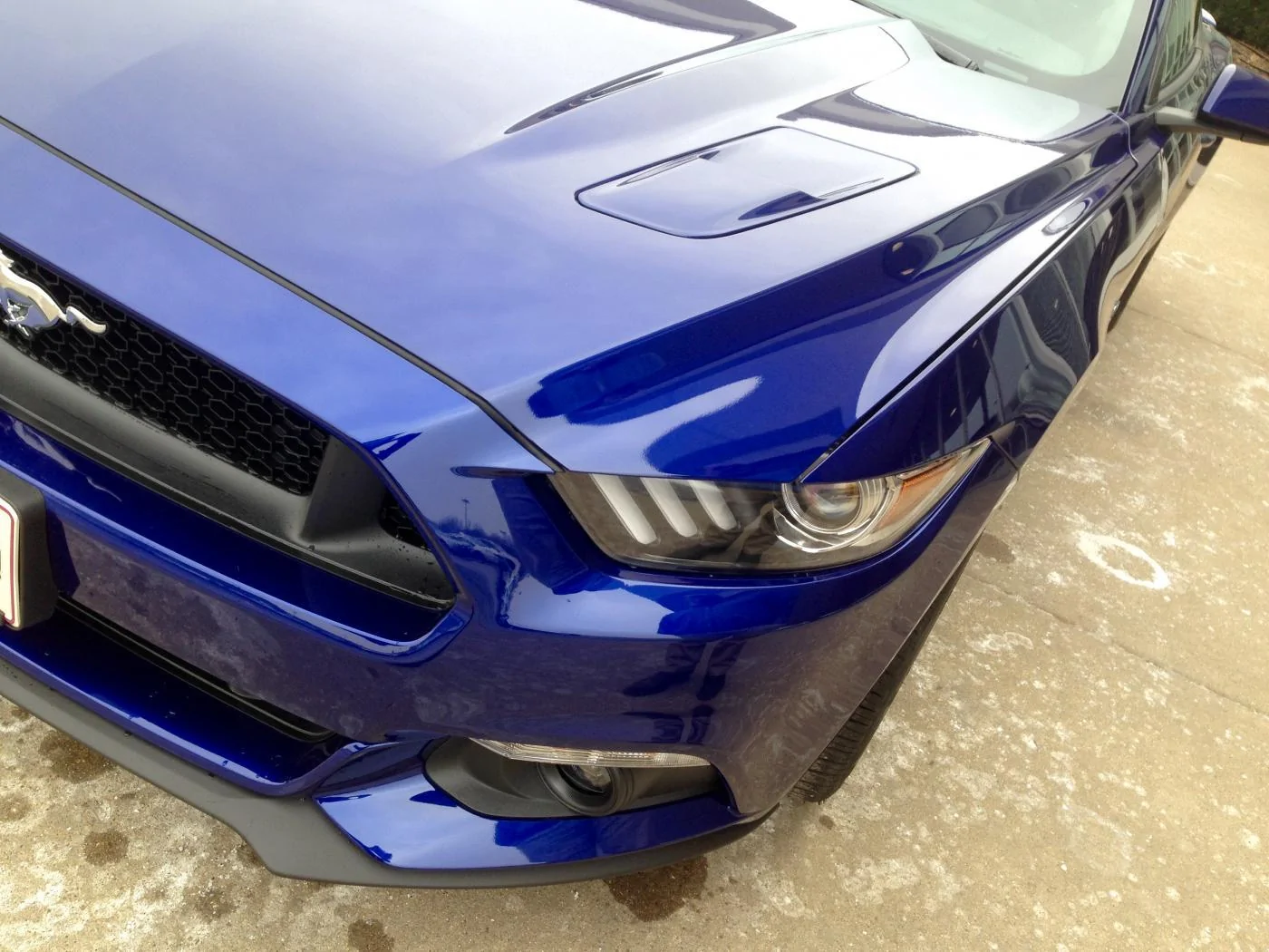 dealer pickup 2.webp