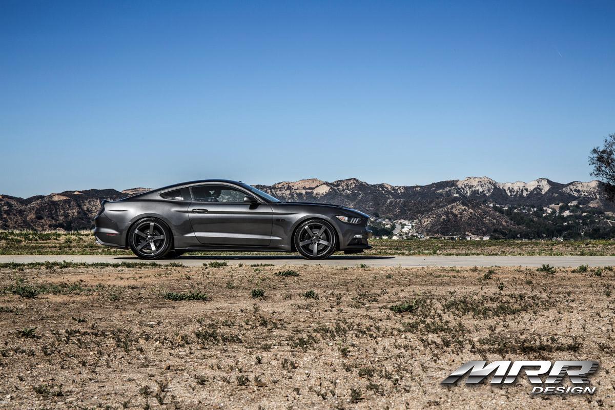 mustang3.jpg