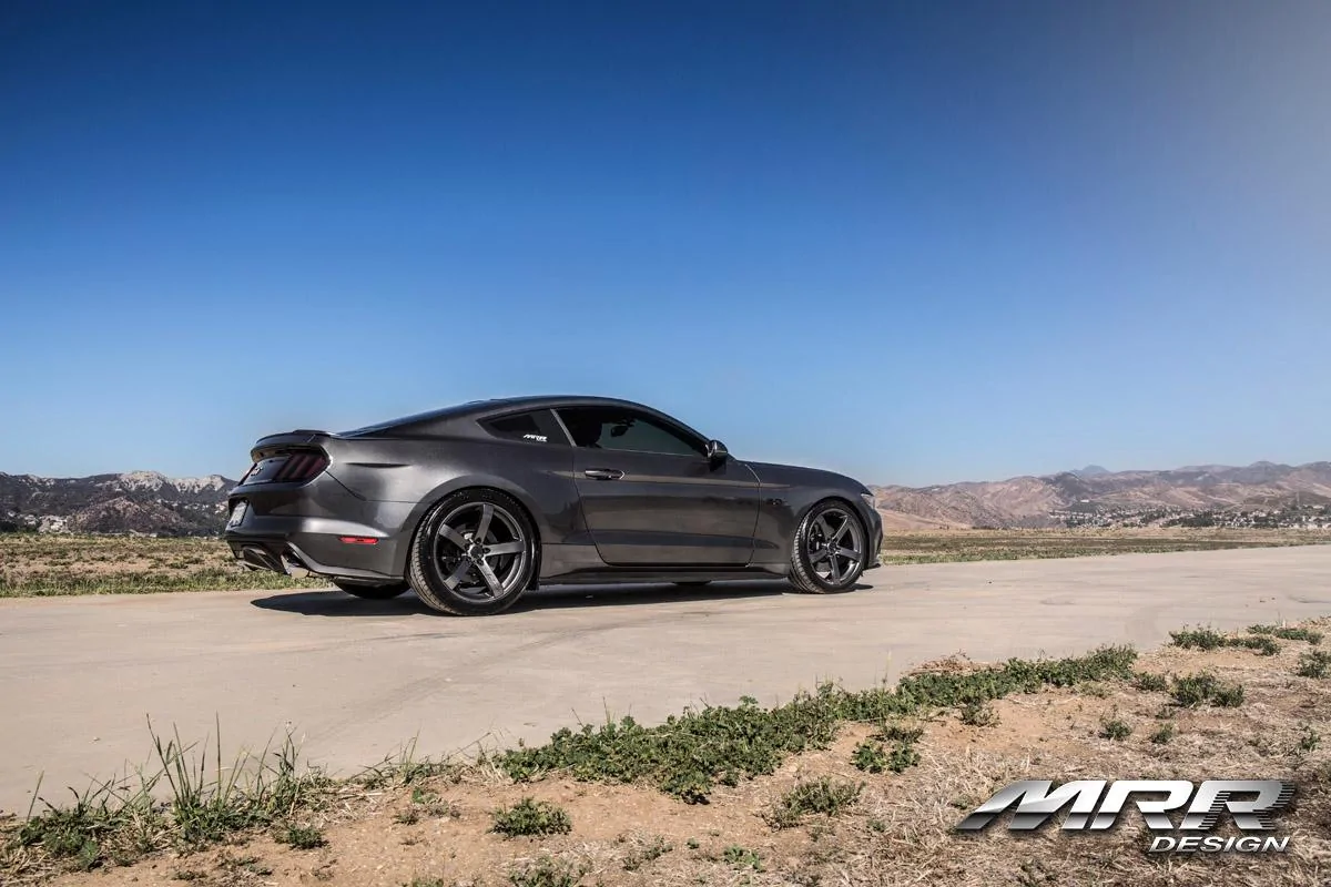 mustang8.webp