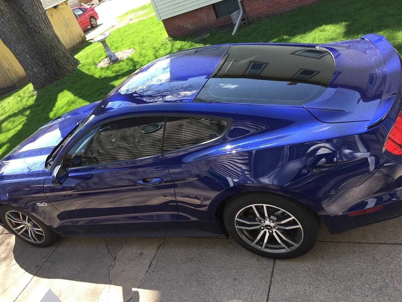 Tint 2.JPG
