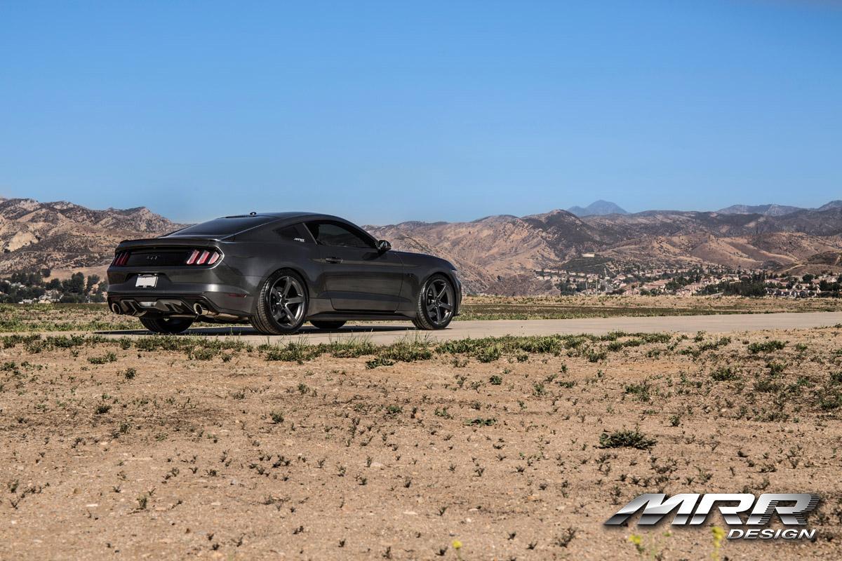 mustang4.jpg