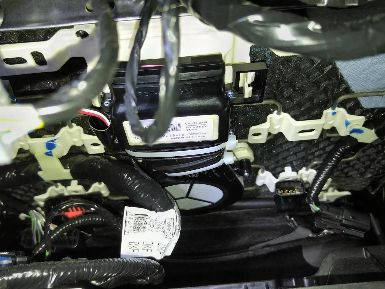 Bottom Fan.webp