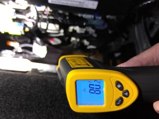 bottom temp.webp