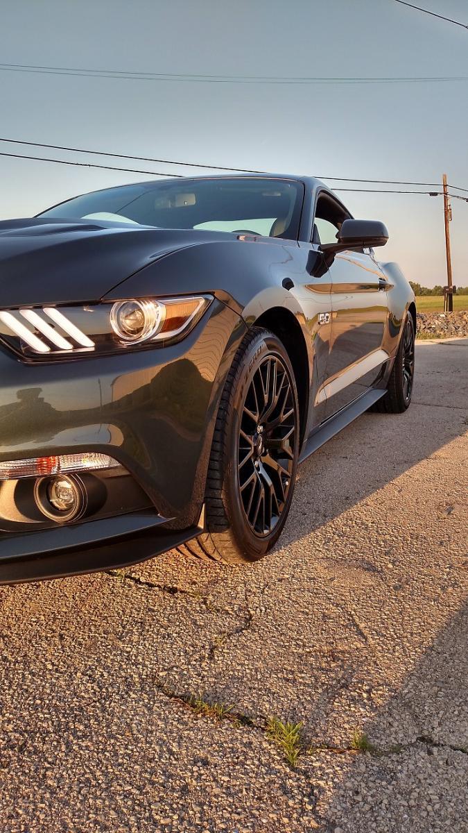 MUSTANG.jpg