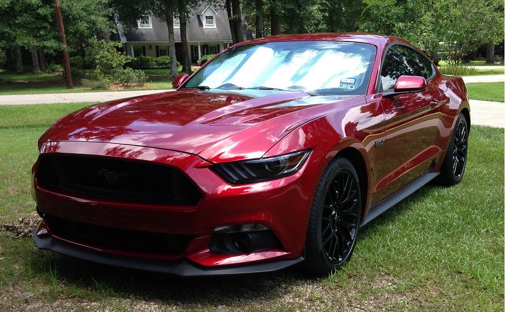 Ruby with Pinnacle Paste Wax - large size 2.jpg