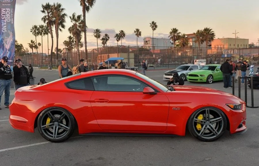 mustang-venice.webp
