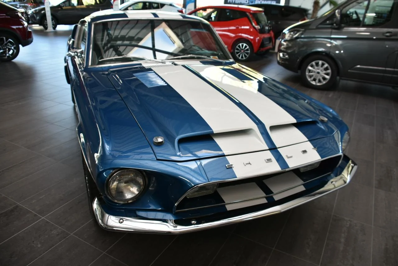 DSC_8096.webp