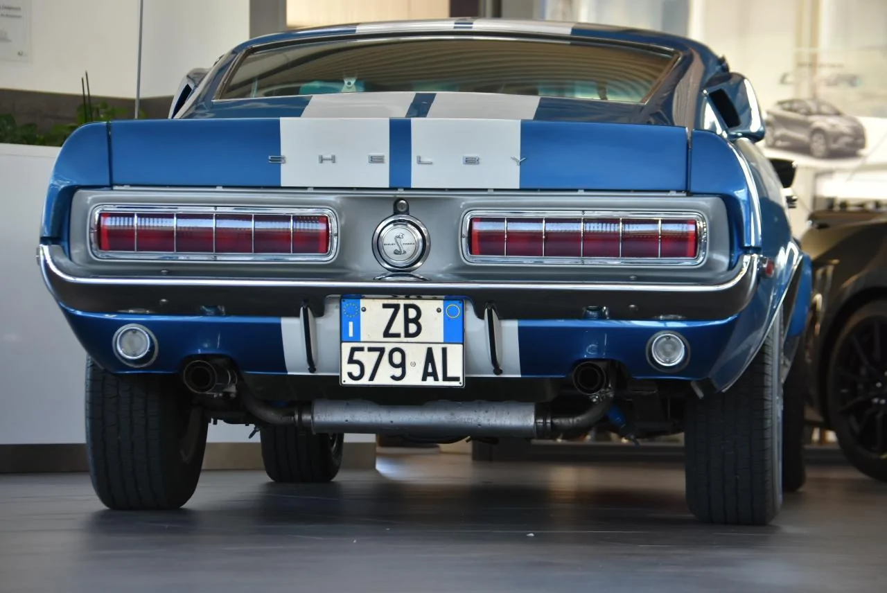 DSC_8107.webp