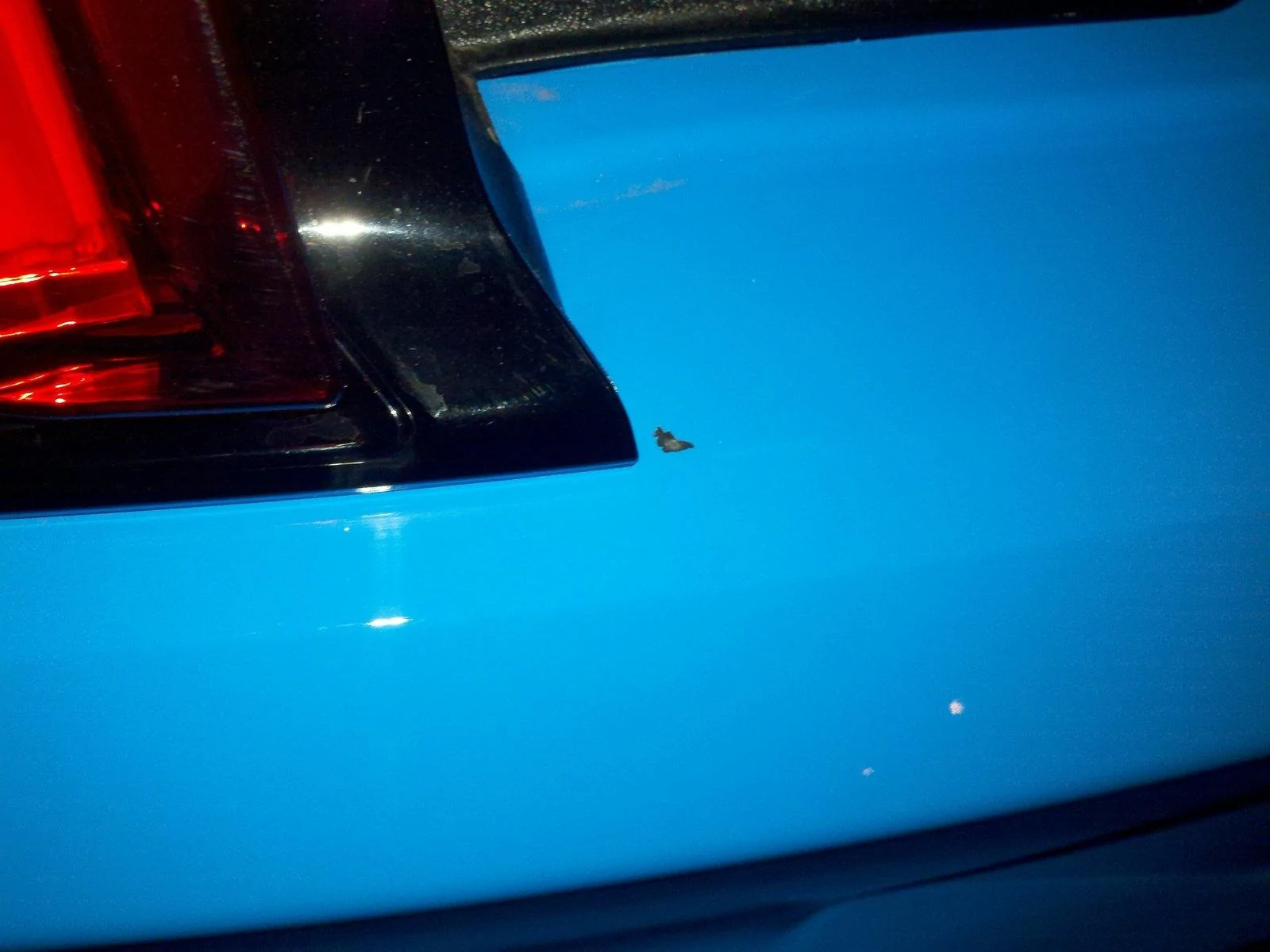 (3) Rear bumper chip.webp