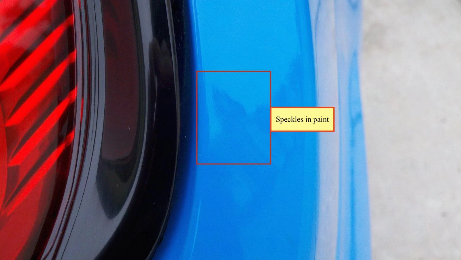8) Speckles in Paint.webp
