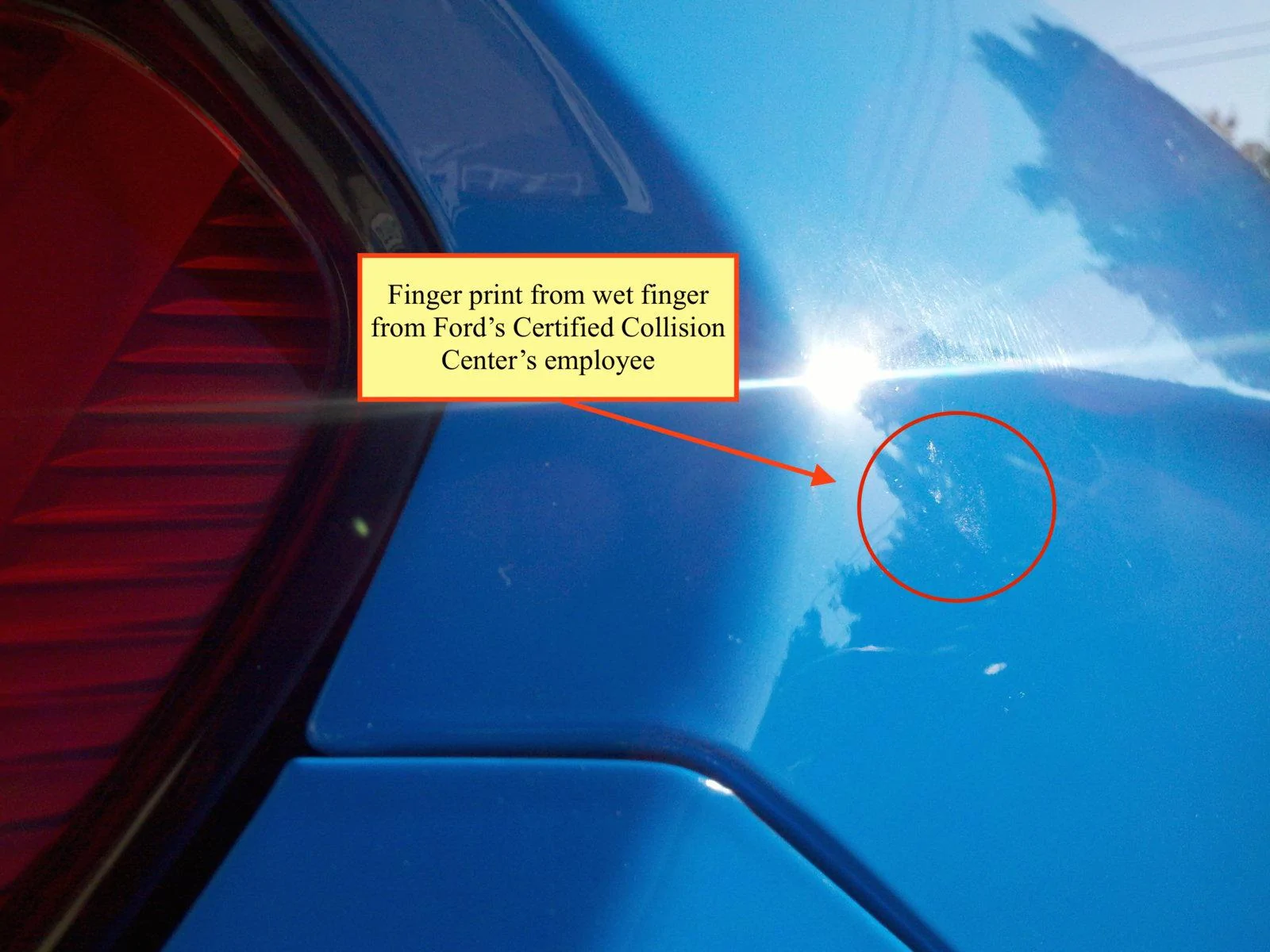 (11) Finger Print.webp