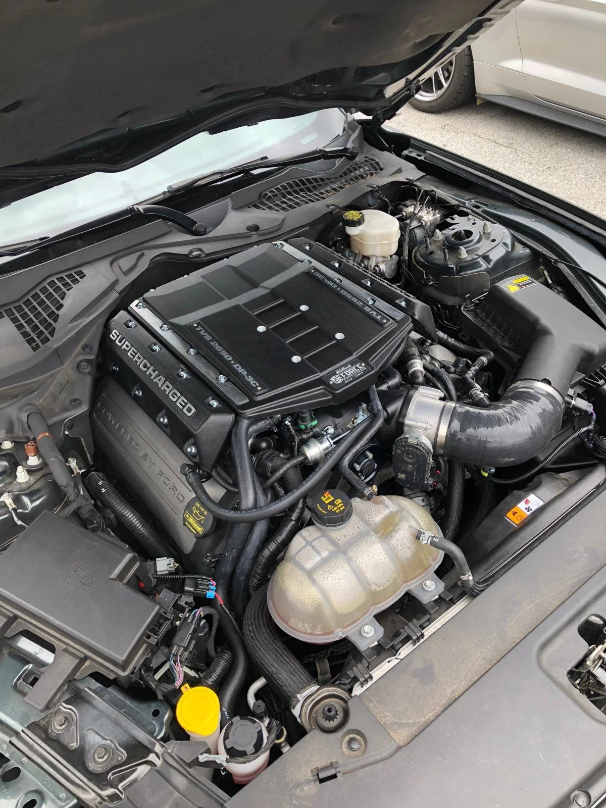 motorshot.webp