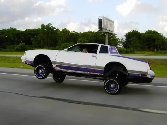bfklz8.webp