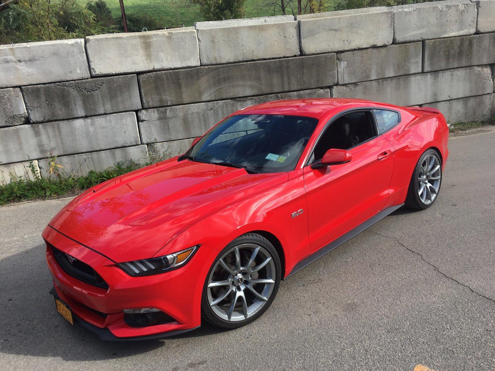 StangS.jpg